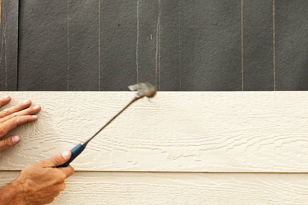 Best Siding Painting and Refinishing  in , VT